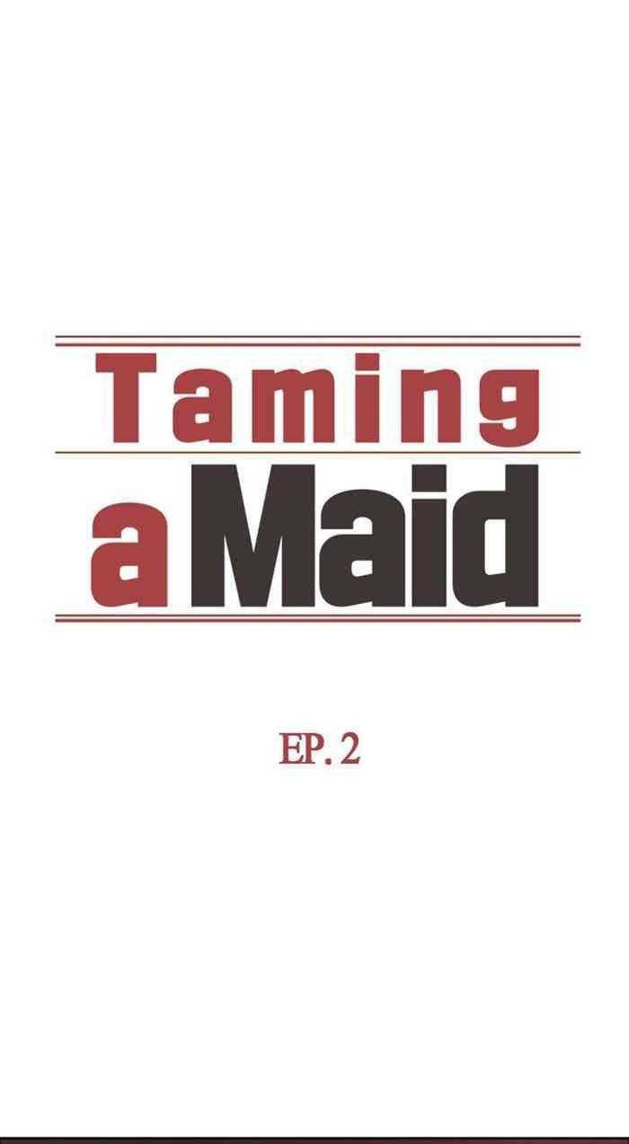 taming a maid domesticate the housekeeper cover