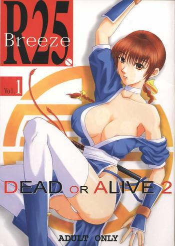 porn r25 vol 1 dead or alive 2 dead or alive hentai affair cover