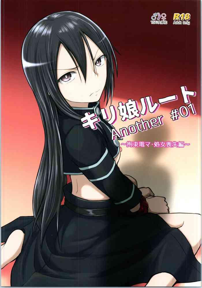 solo female another 01 sword art online hentai documentary cover
