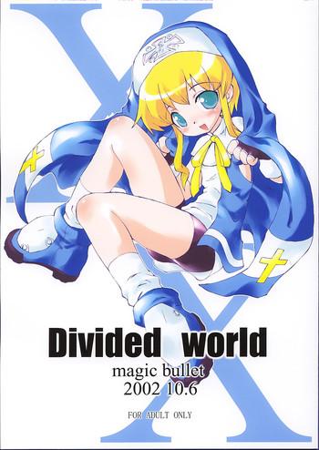 divided world cover