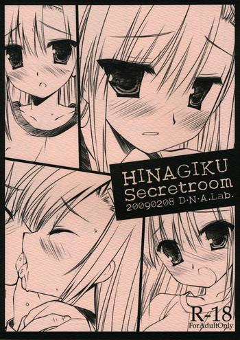 hinagiku secretroom cover