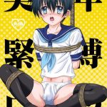 bishounen kinbaku nisshi 12 cover